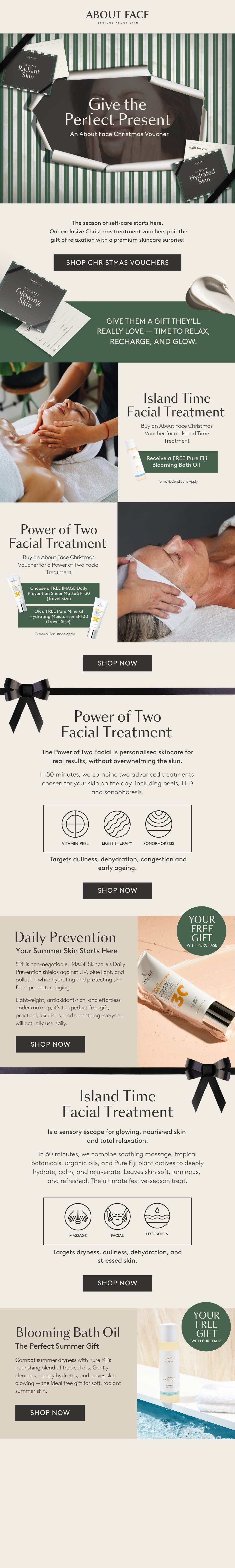 About Face Christmas campaign email design