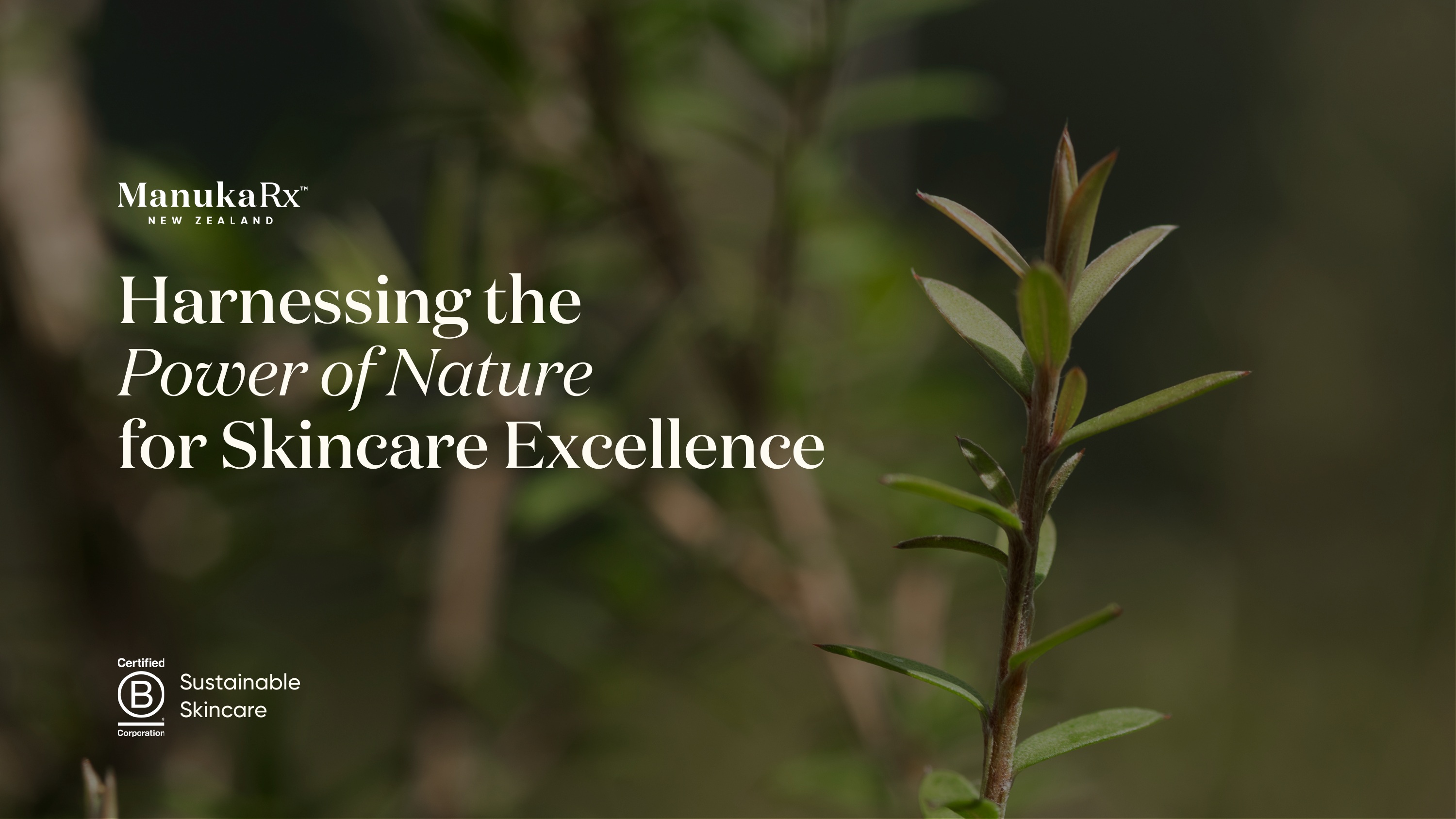 ManukaRx Harnessing the Power of Nature for Skincare Excellence slide