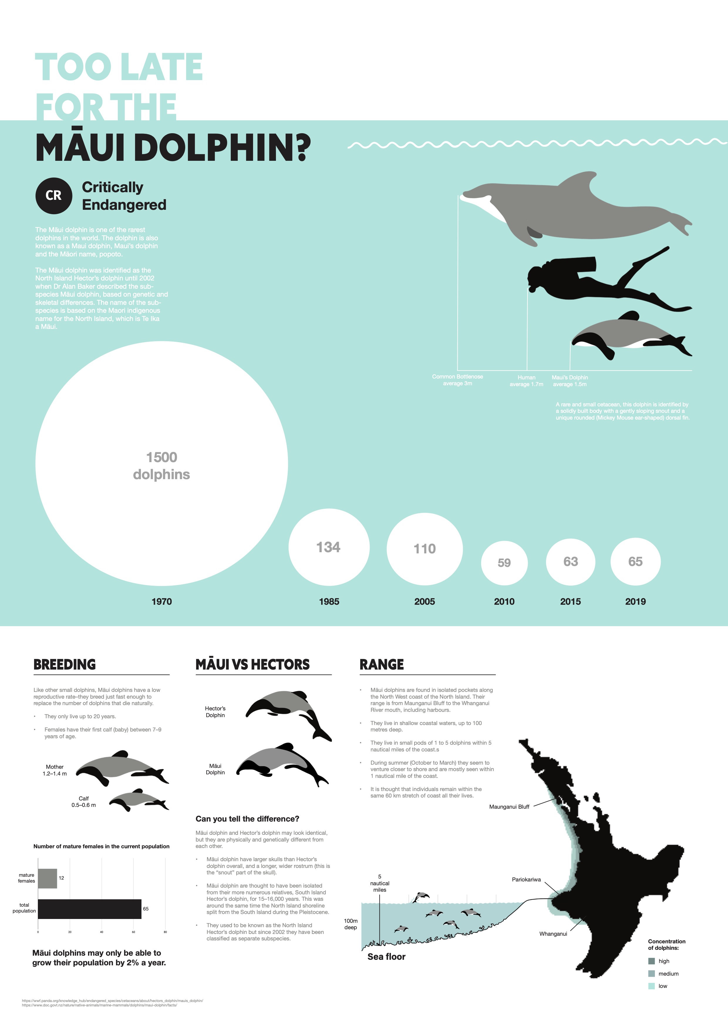 Too Late for the Māui Dolphins poster 1